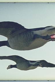 Poster for Super Nature